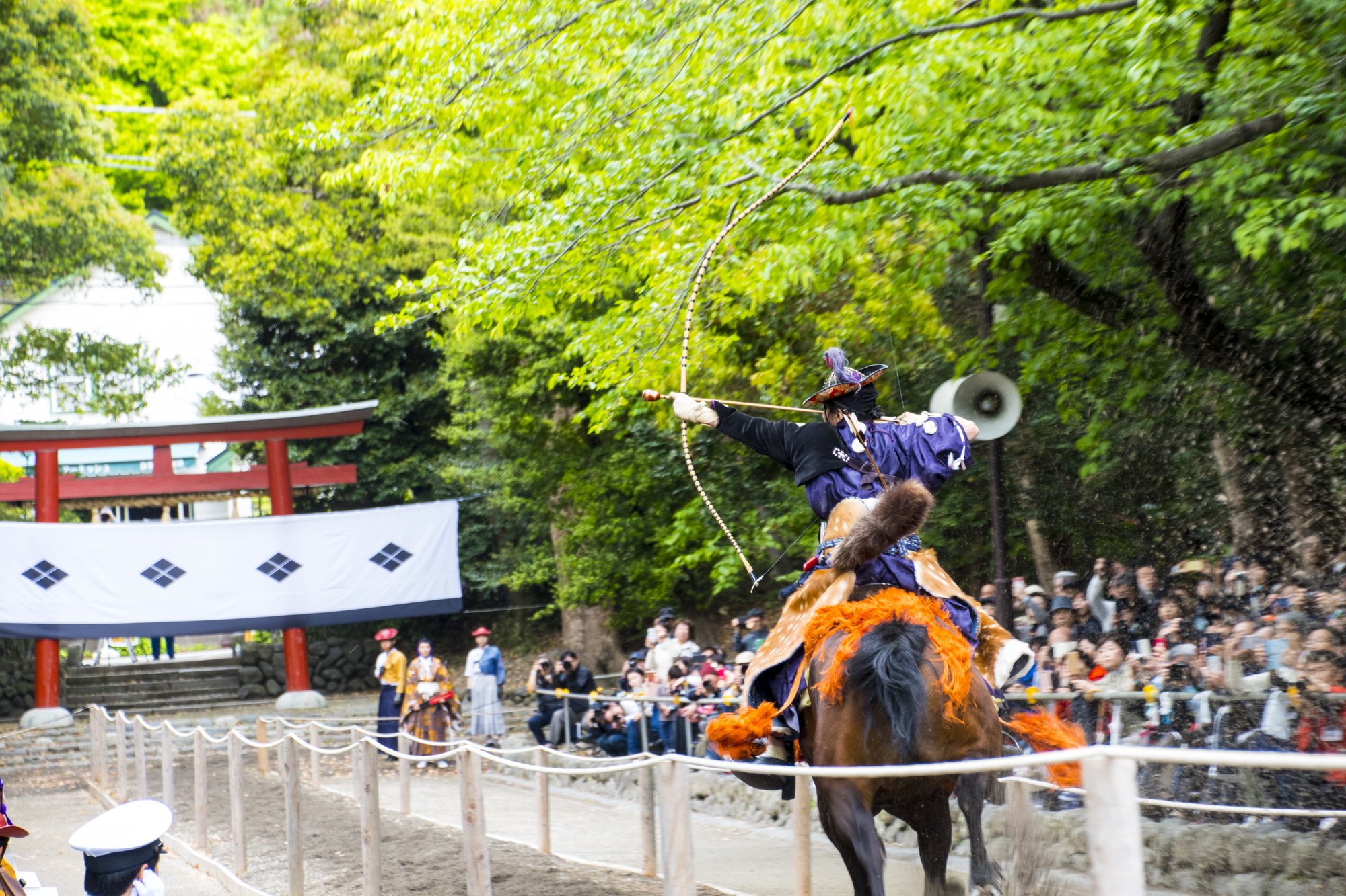 ⛩️ 쓰루가오카 하치만구 이미지 10